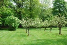 Grange Lodge Country House