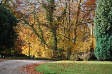 Grange Lodge Country House